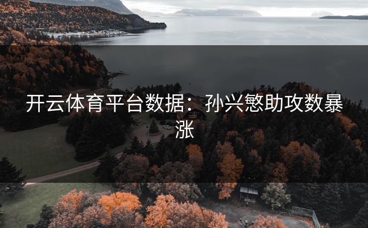 开云体育平台数据：孙兴慜助攻数暴涨