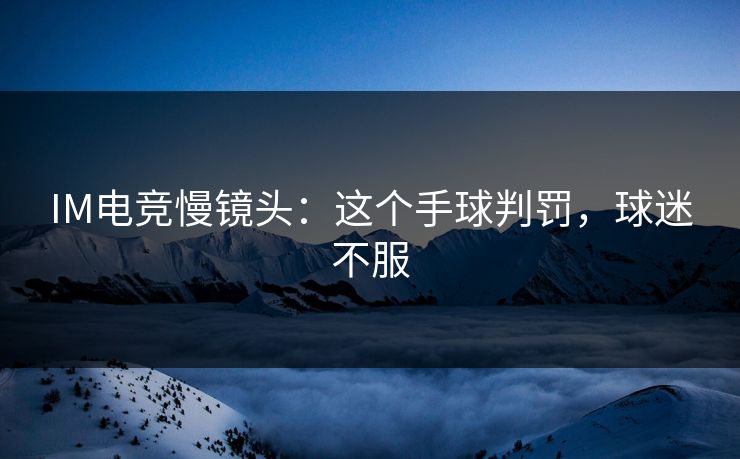 IM电竞慢镜头：这个手球判罚，球迷不服