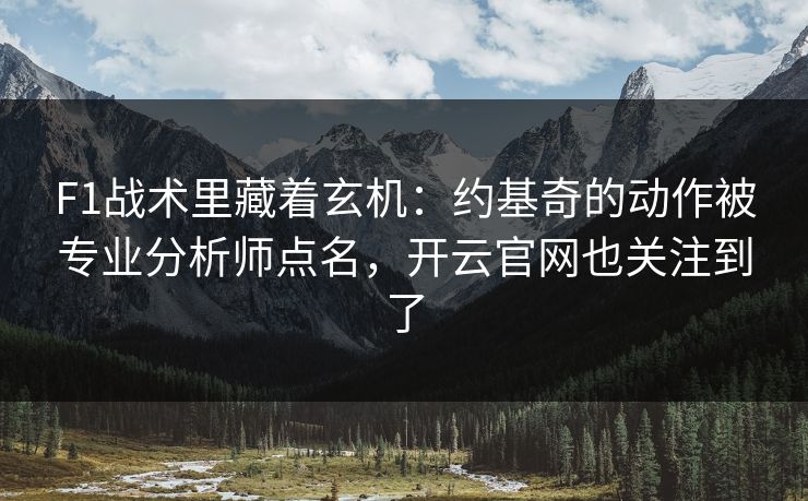 F1战术里藏着玄机：约基奇的动作被专业分析师点名，开云官网也关注到了