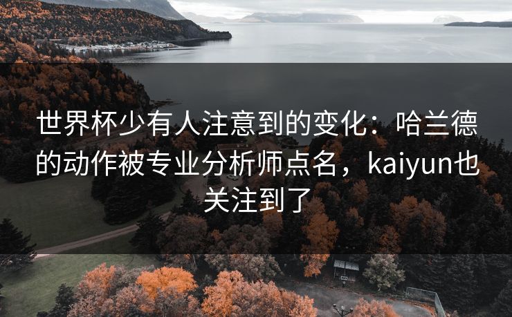 世界杯少有人注意到的变化：哈兰德的动作被专业分析师点名，kaiyun也关注到了
