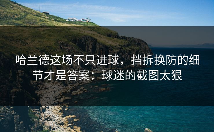 哈兰德这场不只进球，挡拆换防的细节才是答案：球迷的截图太狠