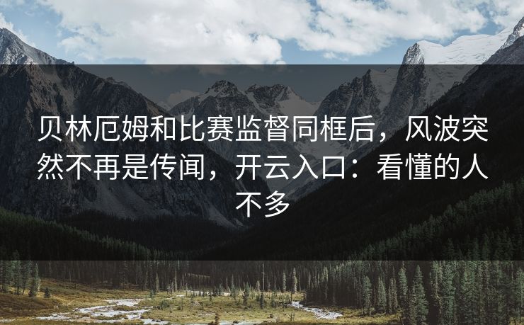 贝林厄姆和比赛监督同框后，风波突然不再是传闻，开云入口：看懂的人不多
